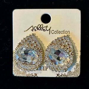 Esley Collection Crystal Teardrop Earrings